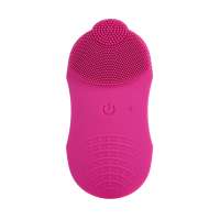 IPX7 Waterproof Silicone Facial Cleansing Brush Manufacturers BZ-0715